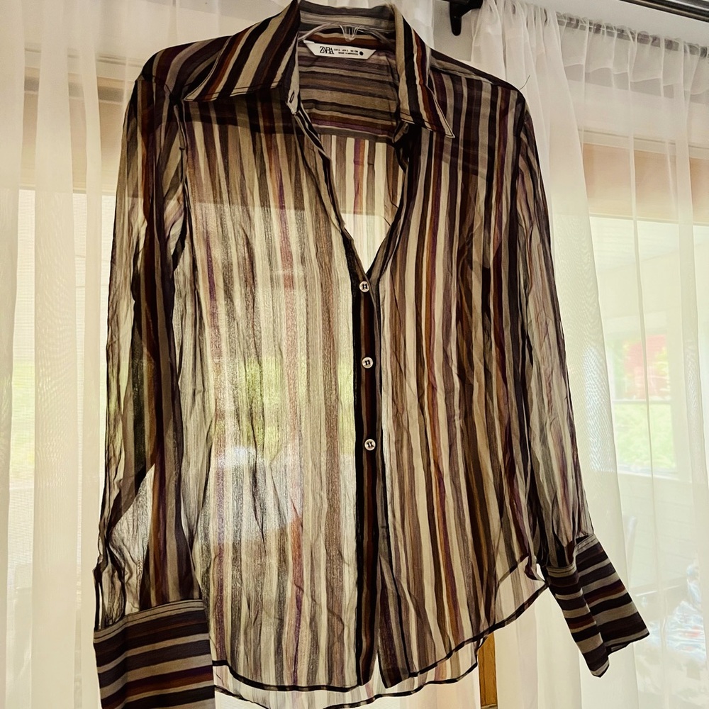Sheer Zara striped blouse